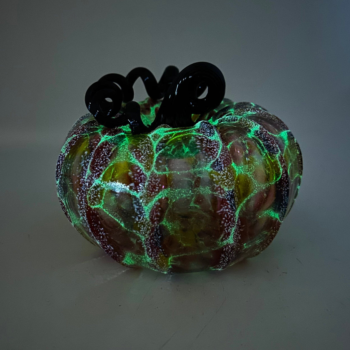 Ghost Dahlia - Glow Black Dahlia w White Frost and Black Stem Production Pumpkin Luke Adams Glass Blowing Studio 