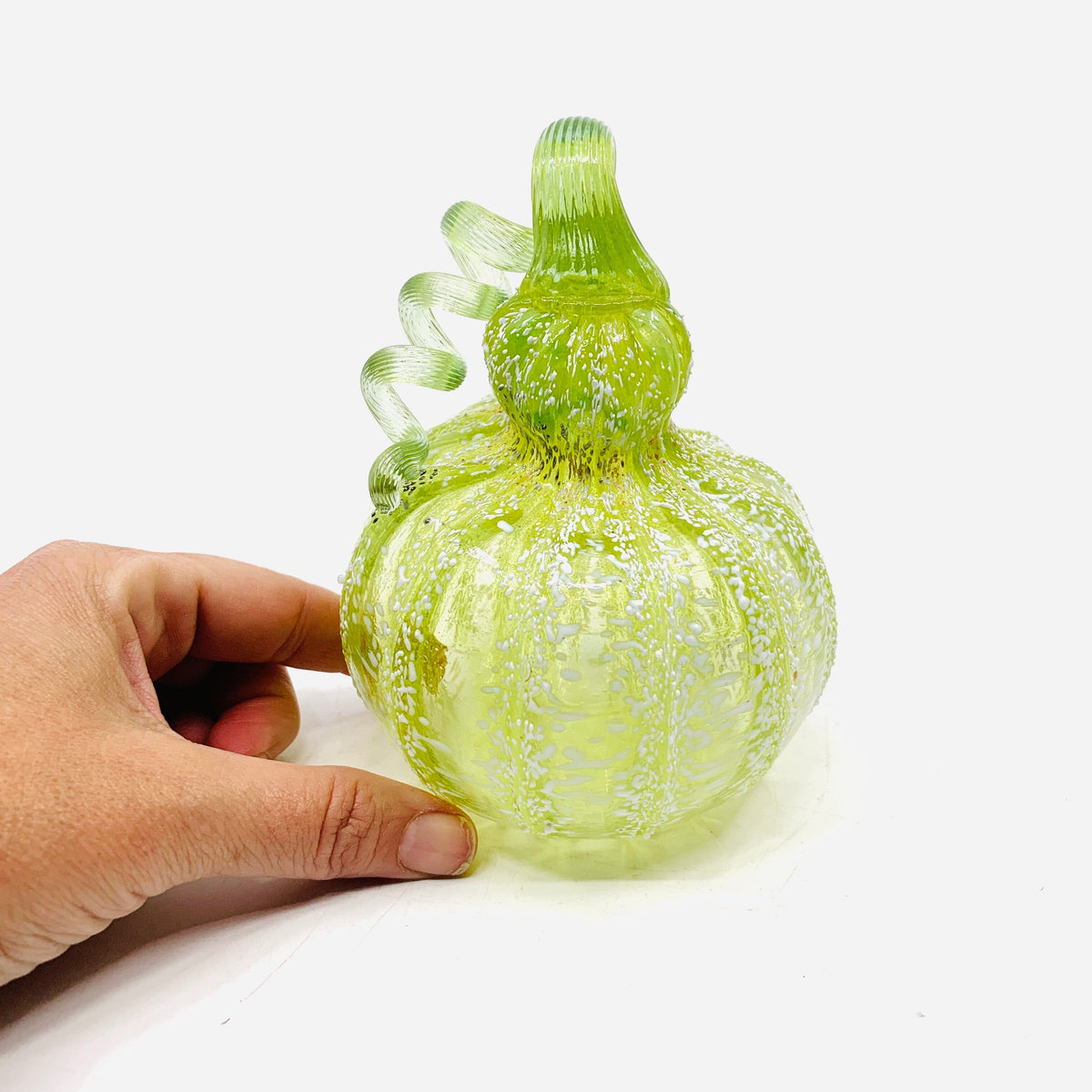 Daily Pumpkin 605 Frosted Gourd Daily Pumpkin James Bilodeau 