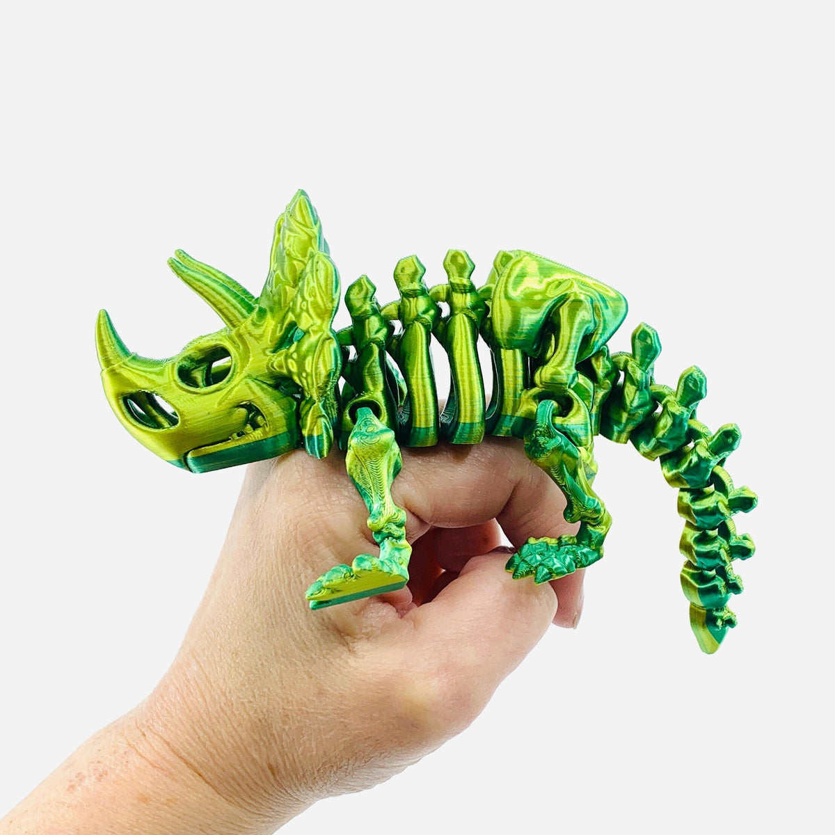 3D-Print Skeleton Triceratops - 49 LUZ CUSTOM DESIGN 