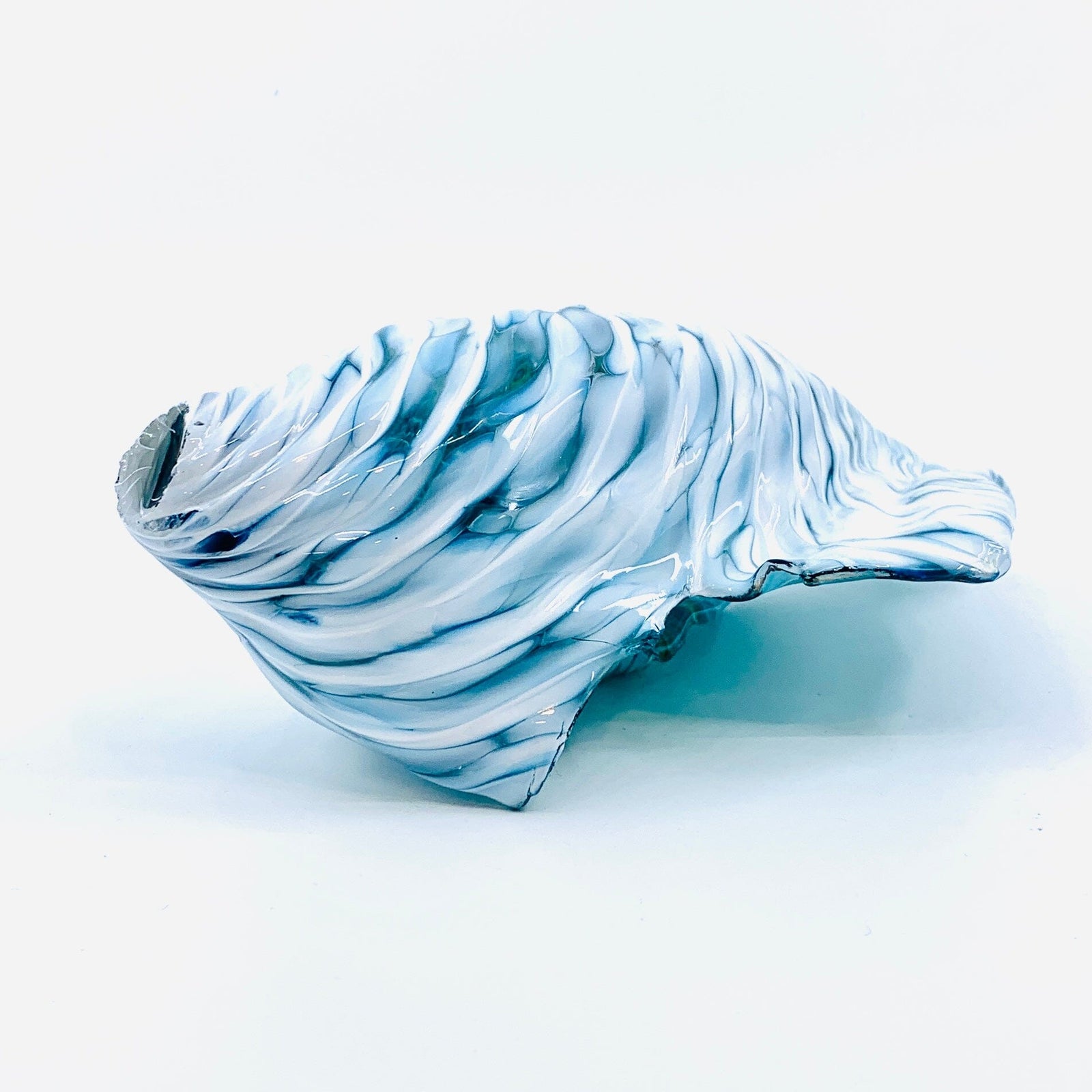 “Luke's Favorite Shell" 12 Gabby Luke Adams Glass Blowing Studio 