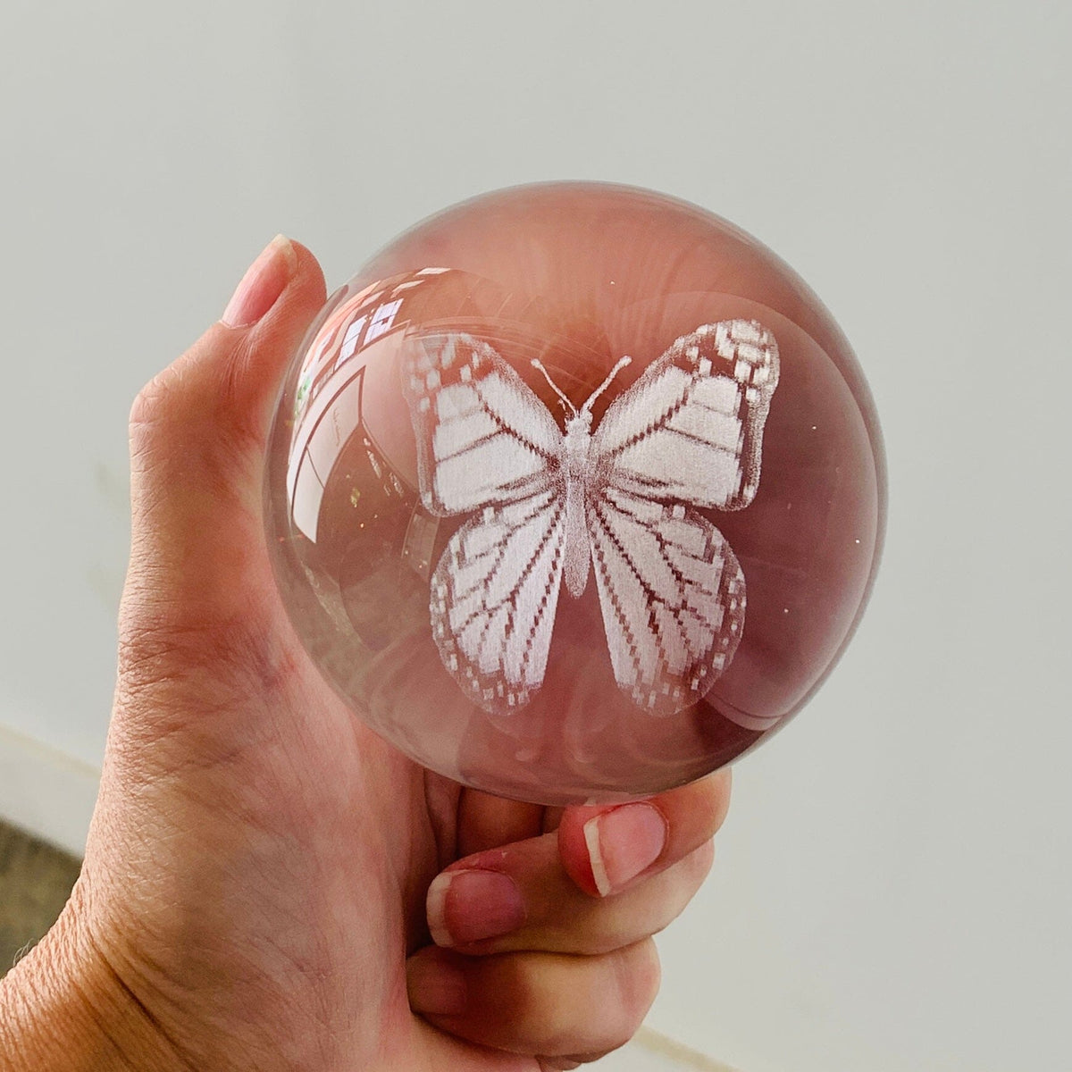 Butterfly Rotating Crystal Ball Lamp CALLA PRODUCTS 