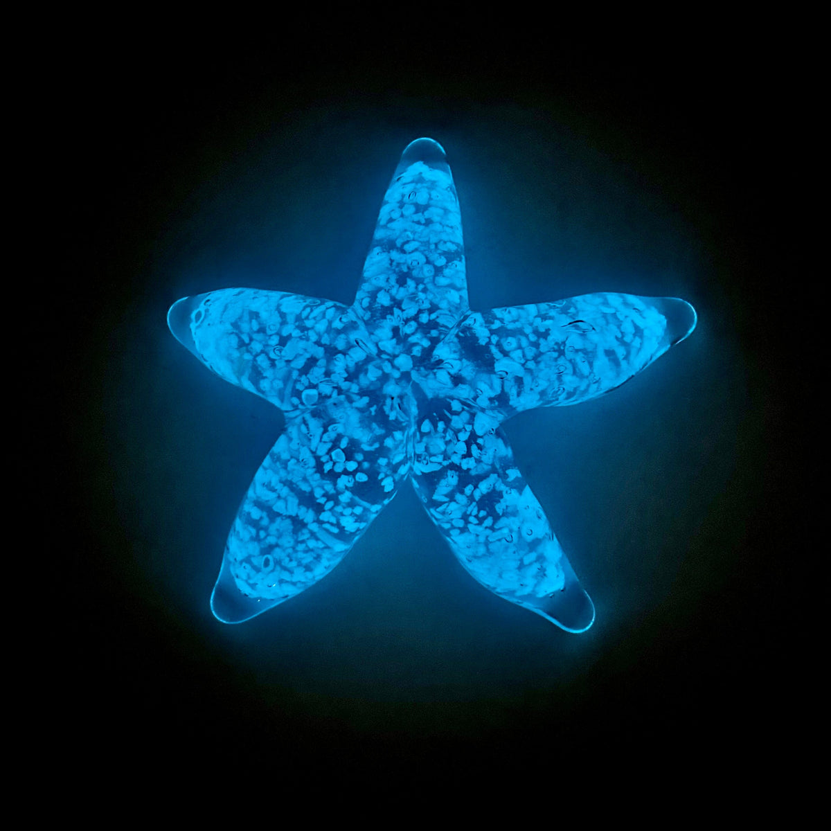 Glow in The Dark Sea Star Decor Beachcombers 