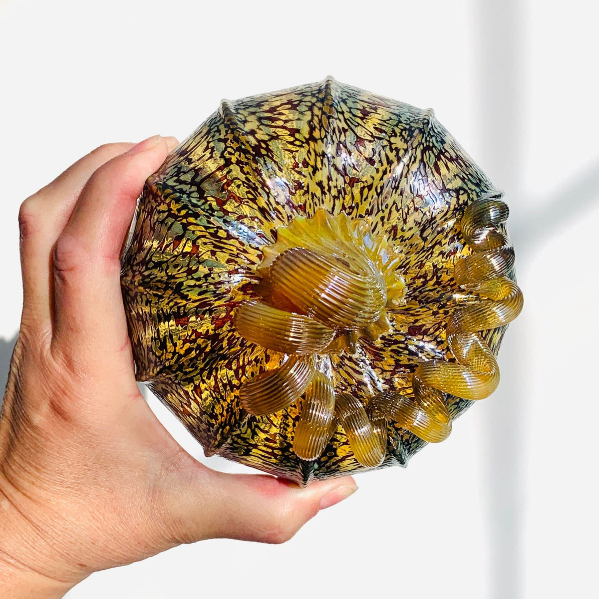 Best Pumpkin of The Day 3722 Fall Squat Gabby Luke Adams Glass Blowing Studio 
