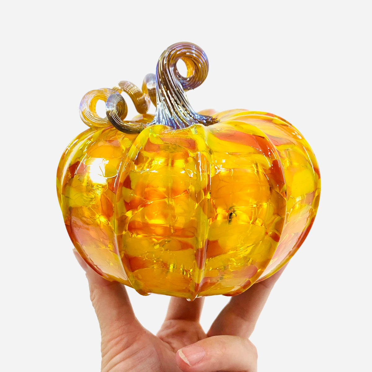 Daily Pumpkin 3704 Fall Squat