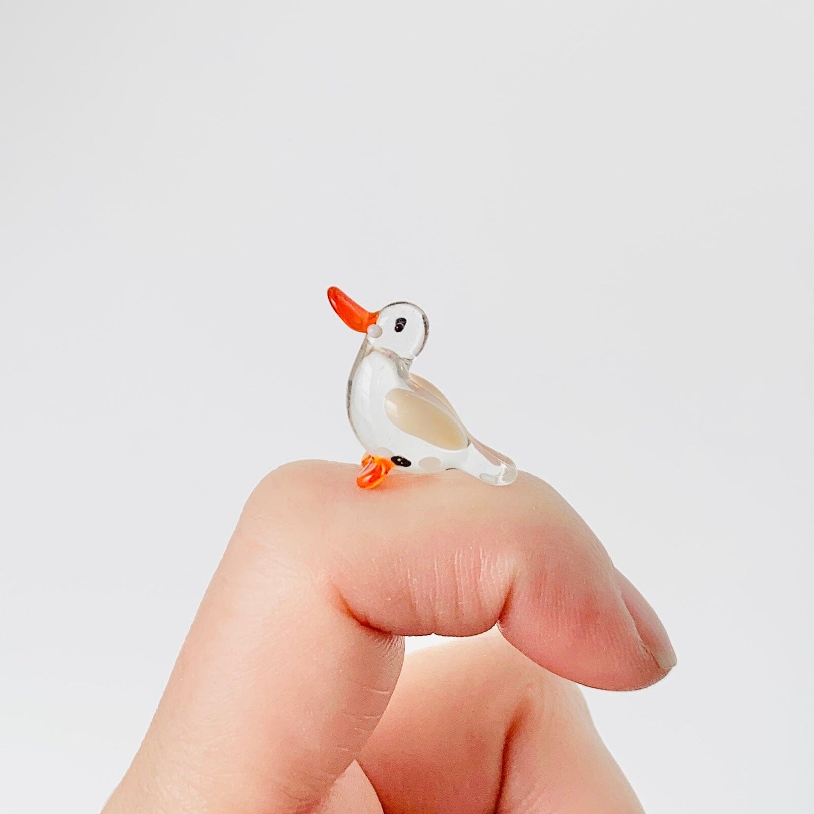 Teeny Teensie Duck 63 JACO 
