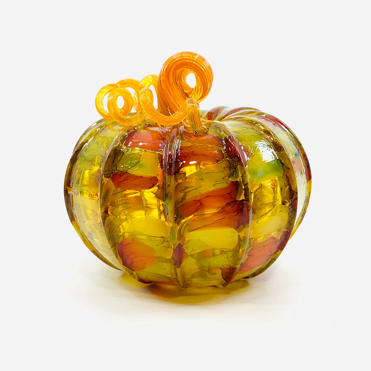 Daily Pumpkin 3361 Fall Squat
