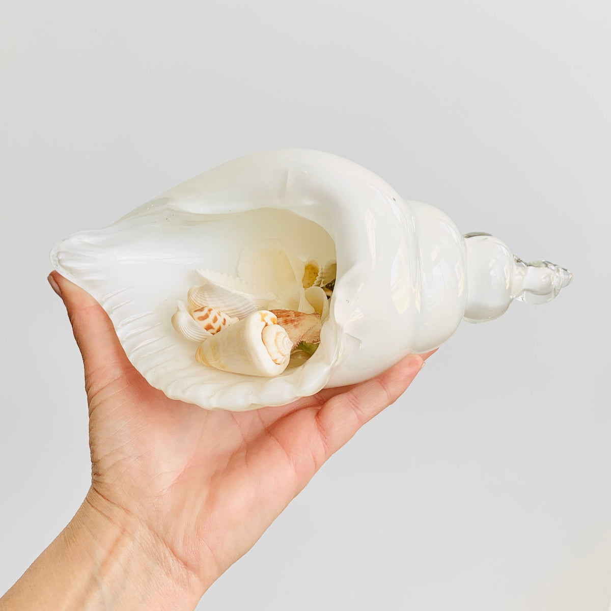 White and Clear Glass Conch Shell Decor Beachcombers 
