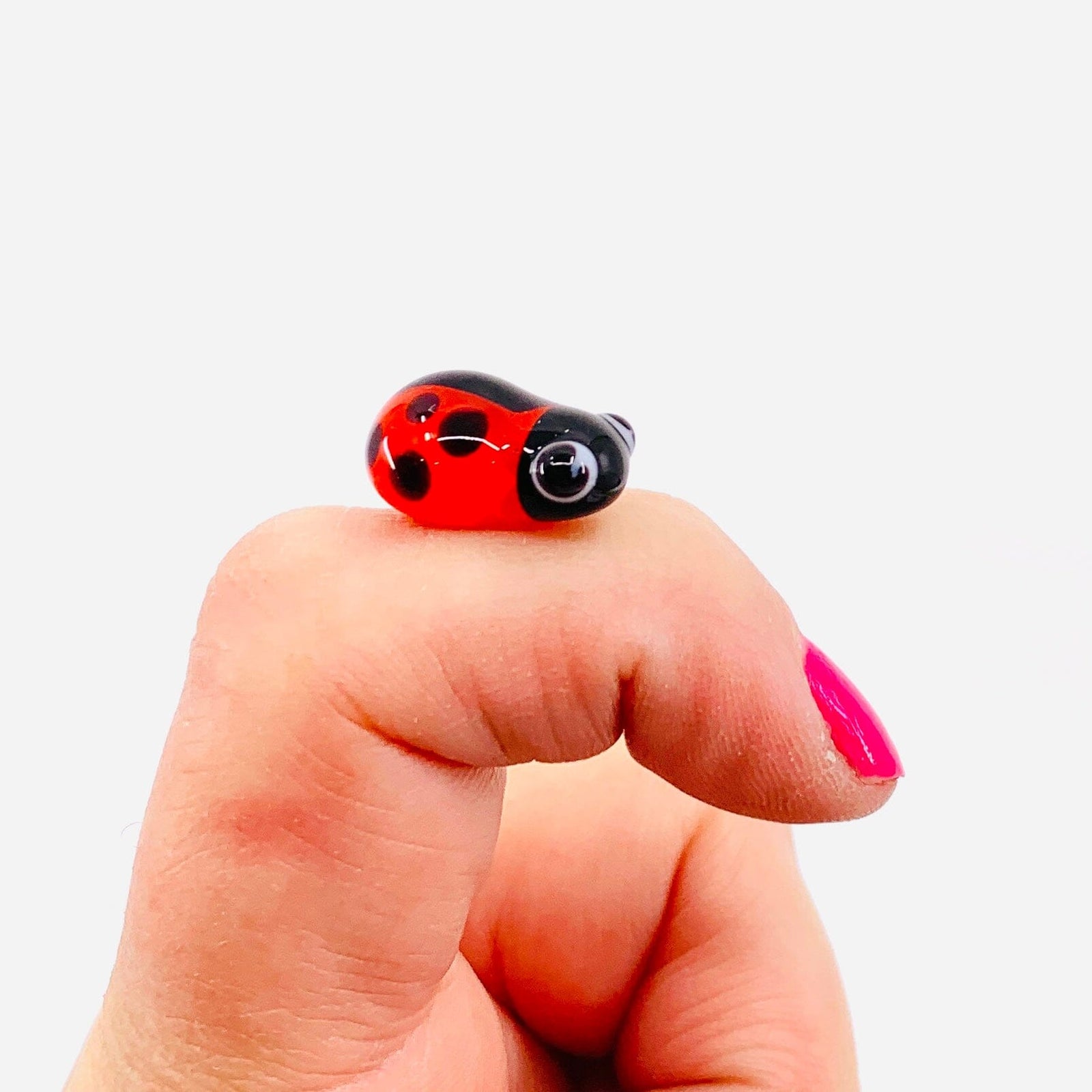 Teeny Teensie Lady Bug JACO 