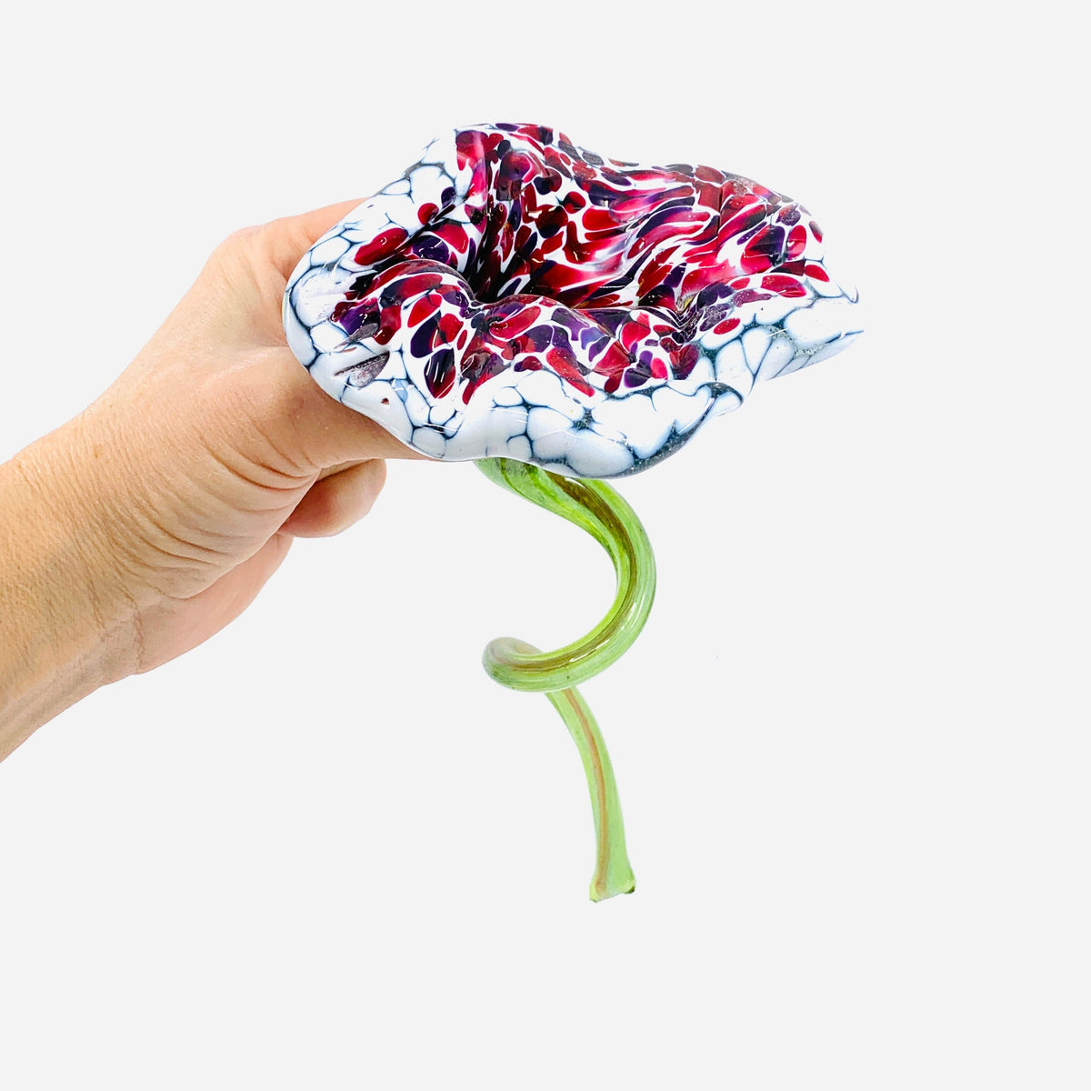 Pulled Glass Flower 3 Decor Luke Adams Glass Blowing Studio 