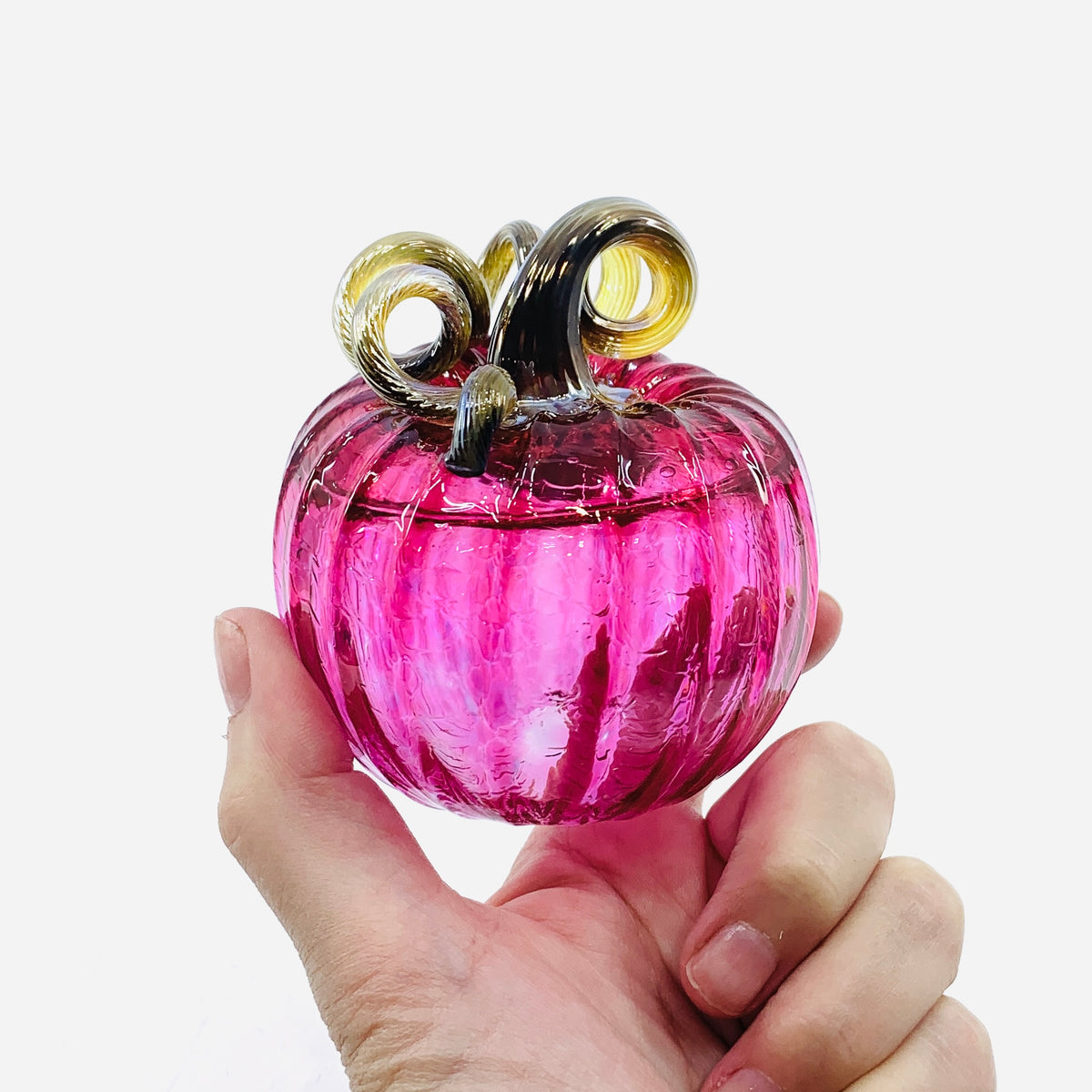 Daily Pumpkin 3519 Oops Mini