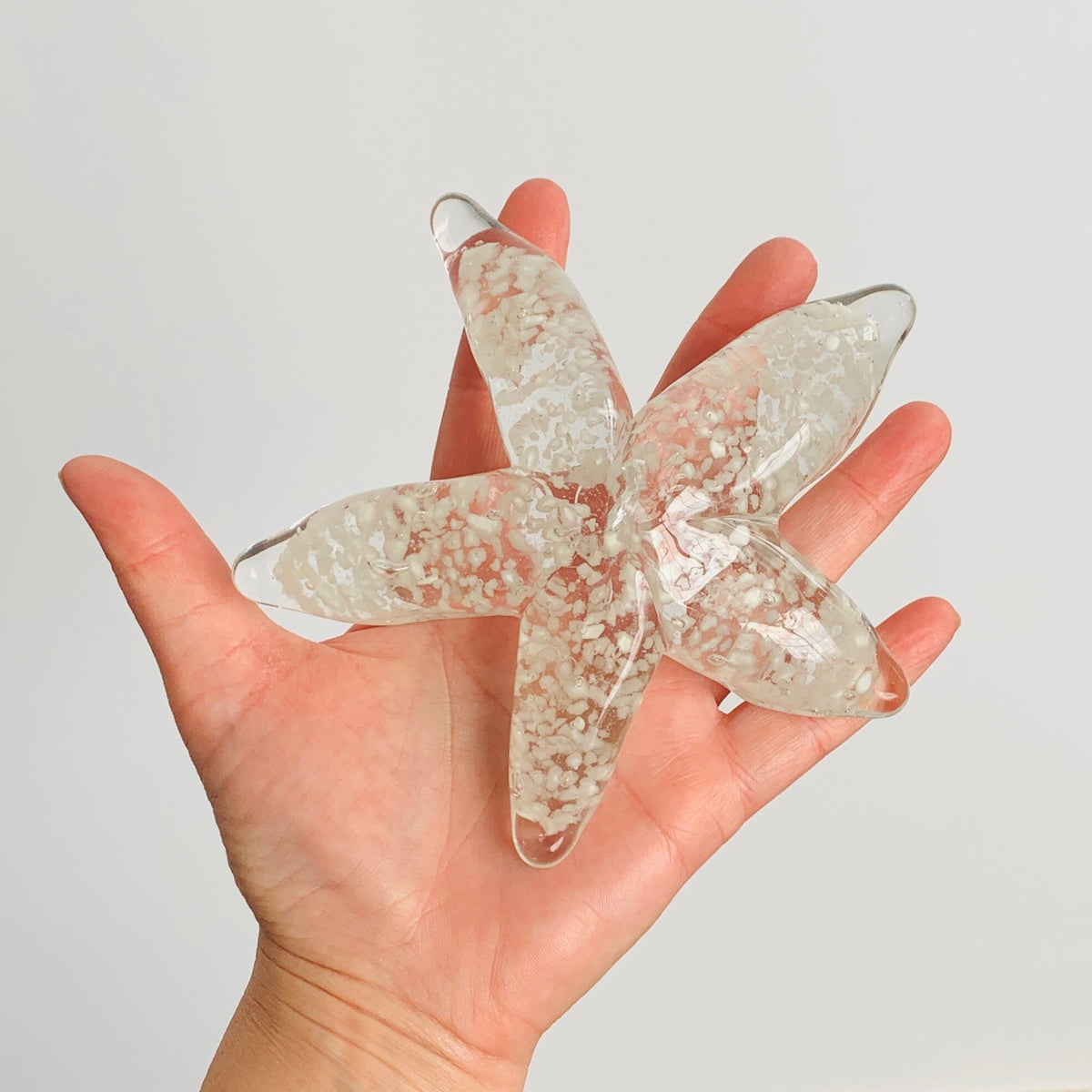 Glow in The Dark Sea Star Decor Beachcombers 
