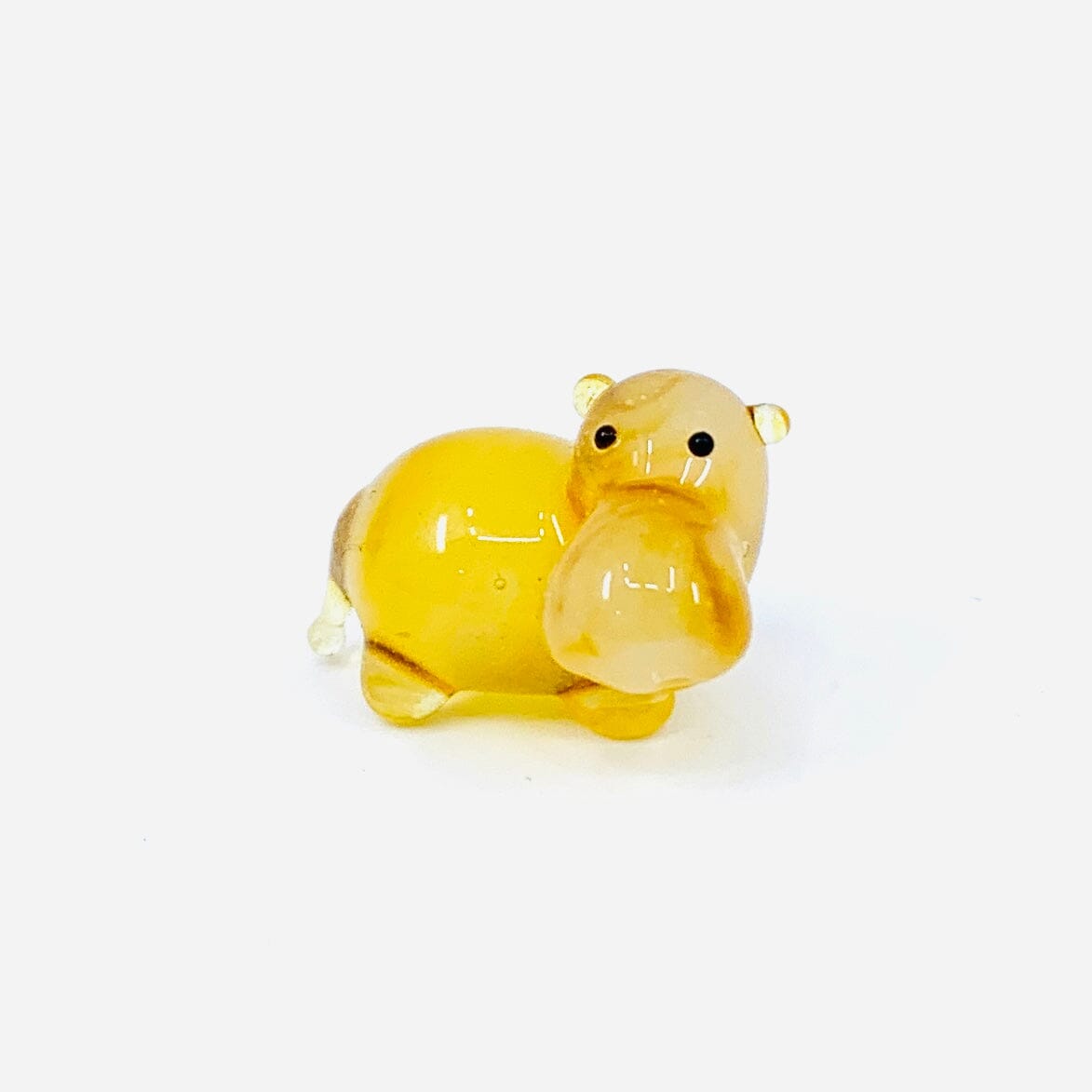 Teeny Teensie Hippo 2 JACO 