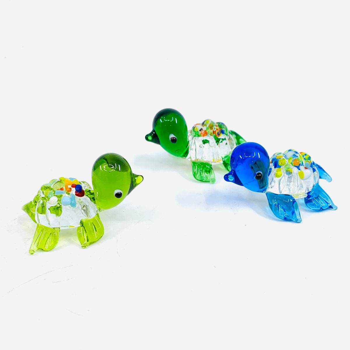 Glass Spotted Turtle