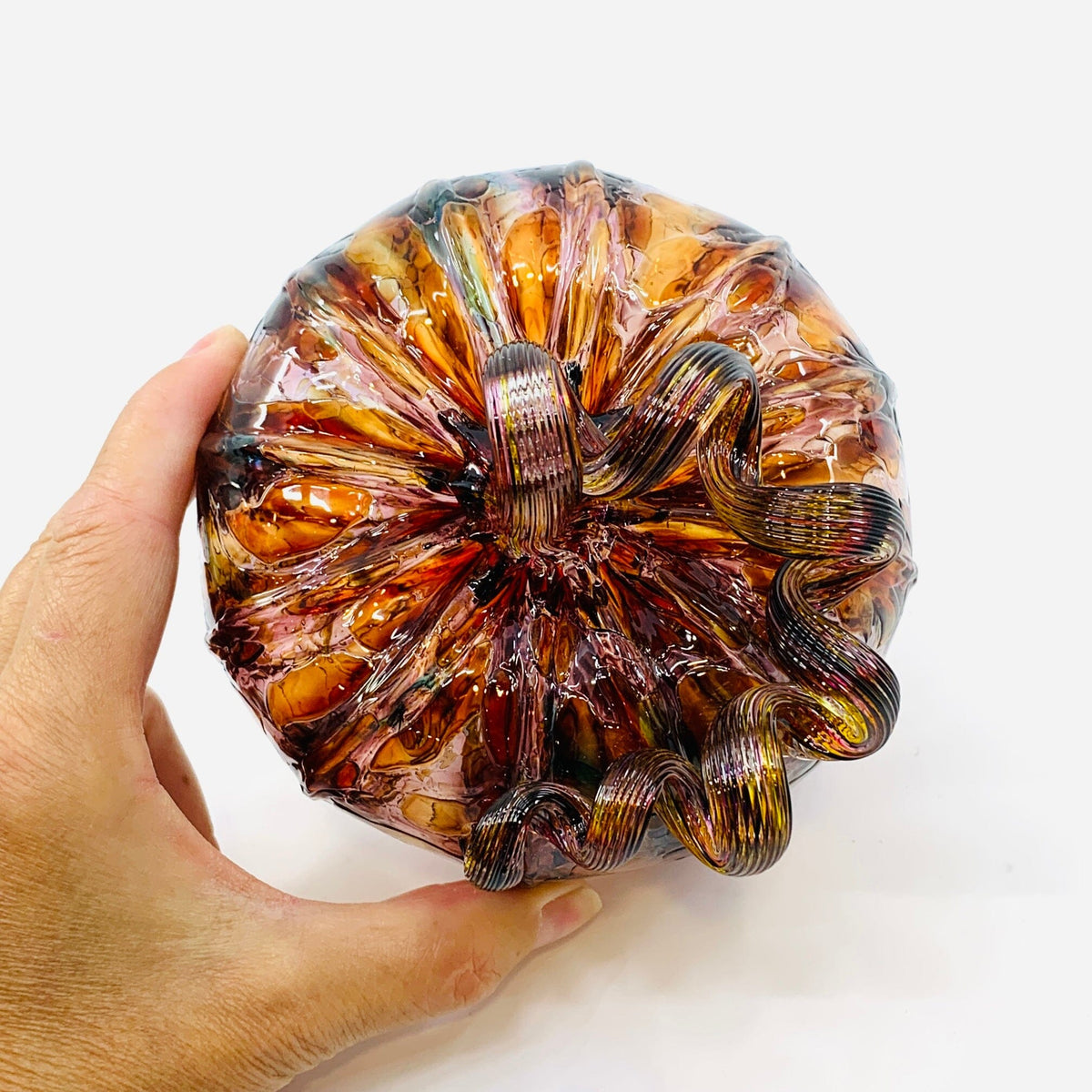Daily Pumpkin 2971 Squat Gabby Luke Adams Glass Blowing Studio 