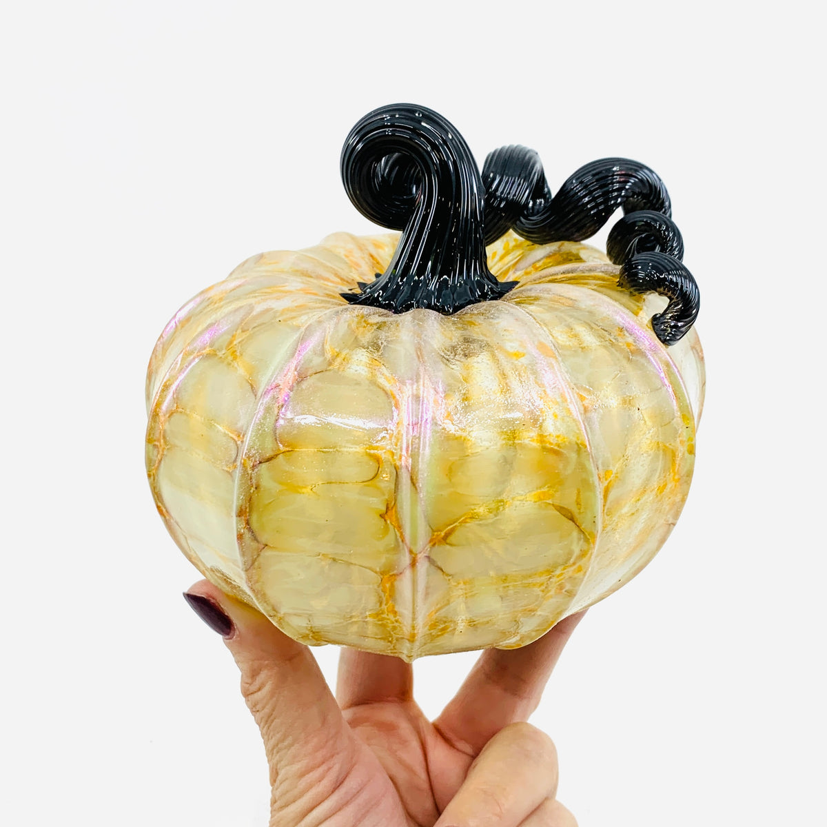 Daily Pumpkin 3985 Fall Shimmer Squat