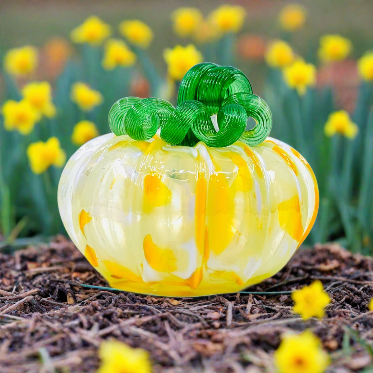DESIGNER Daily Pumpkin 1334 Daffodil Prototype Squat