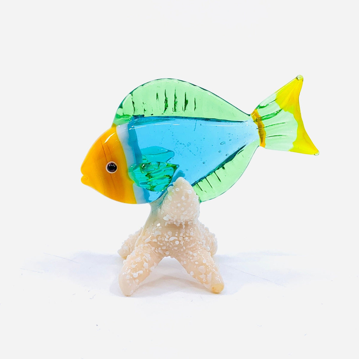 Tropical Fish on Sea Stars, Aqua Decor Beachcombers 