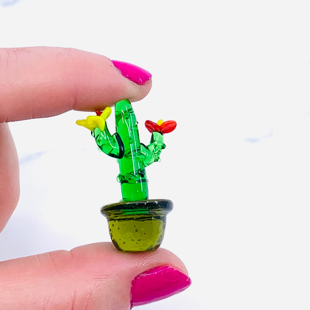 Mini Glass Cactus, Surrender