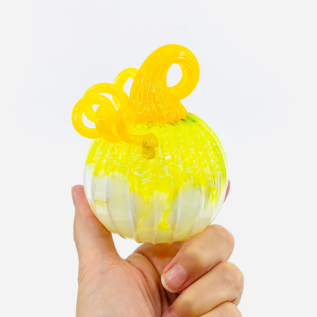 Daily Pumpkin 3287 Fall Mini