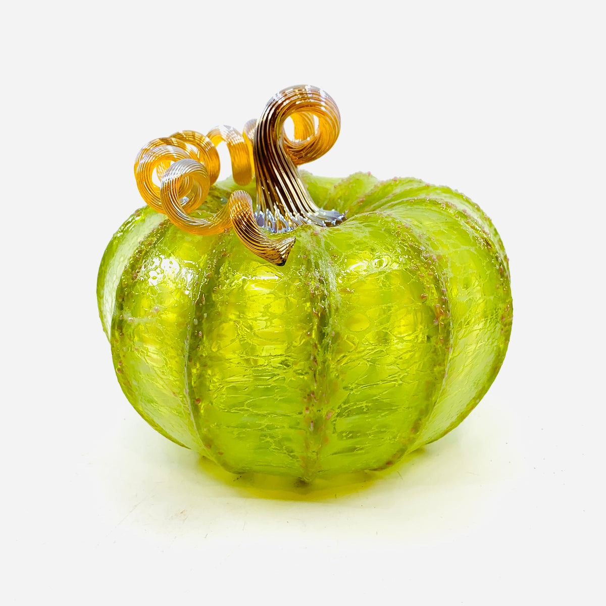 Daily Pumpkin 3585 Fall Squat
