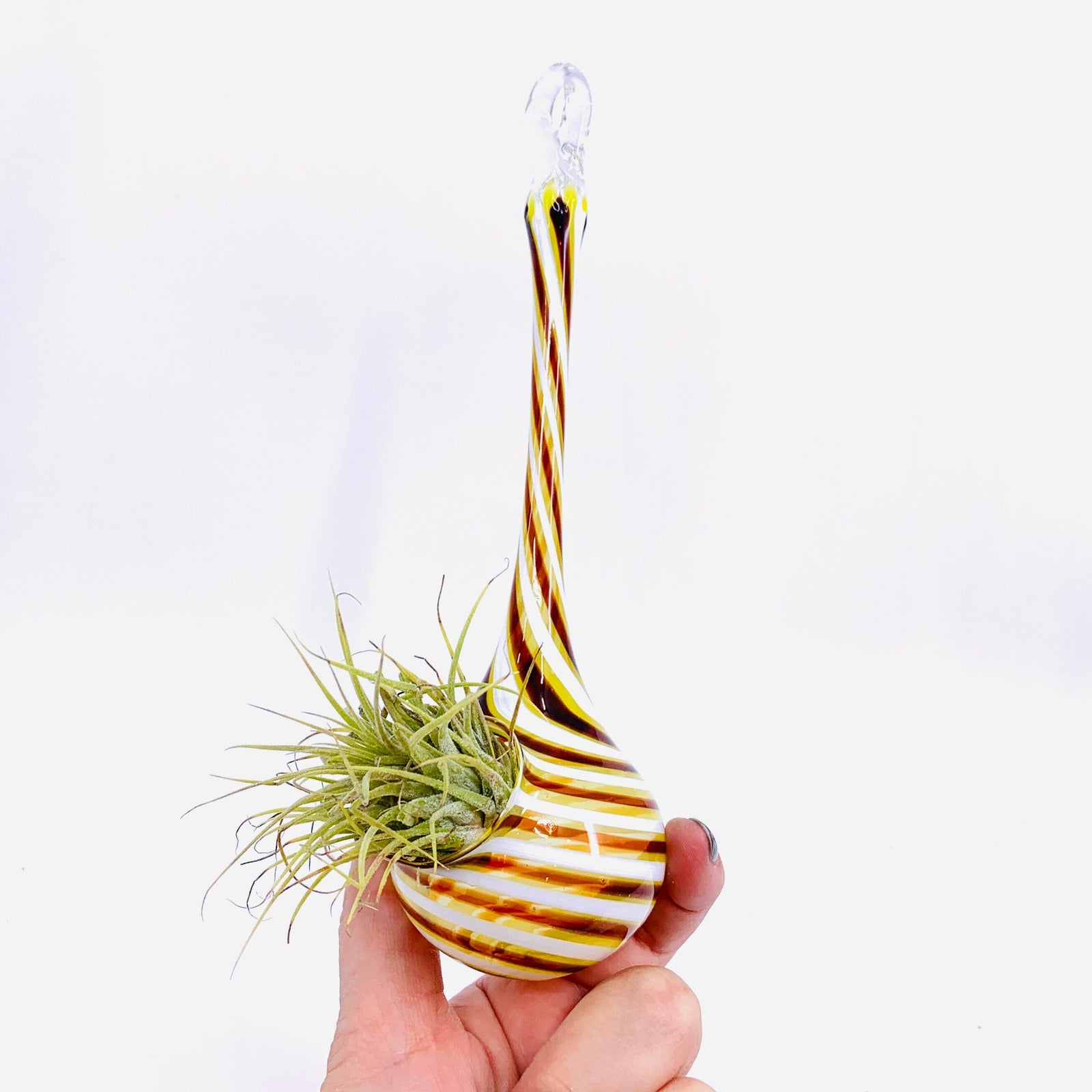 Air Plant Hanging Drop Vase 14 Decor Probstein Studios 