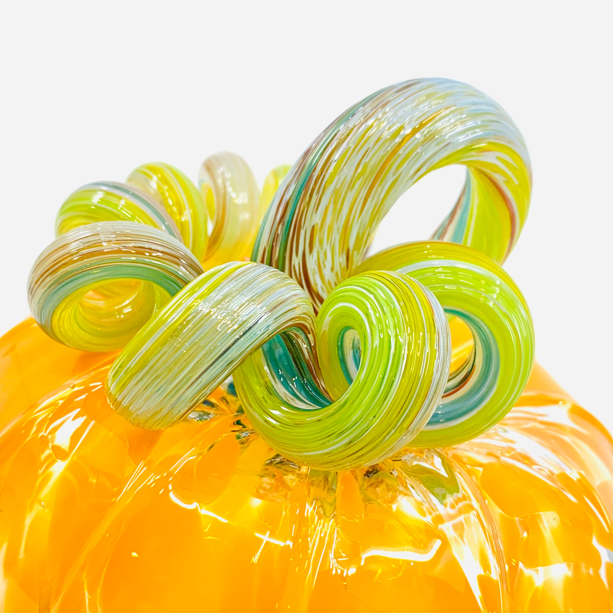 Daily Pumpkin 1100 Rainbow Stem Squat