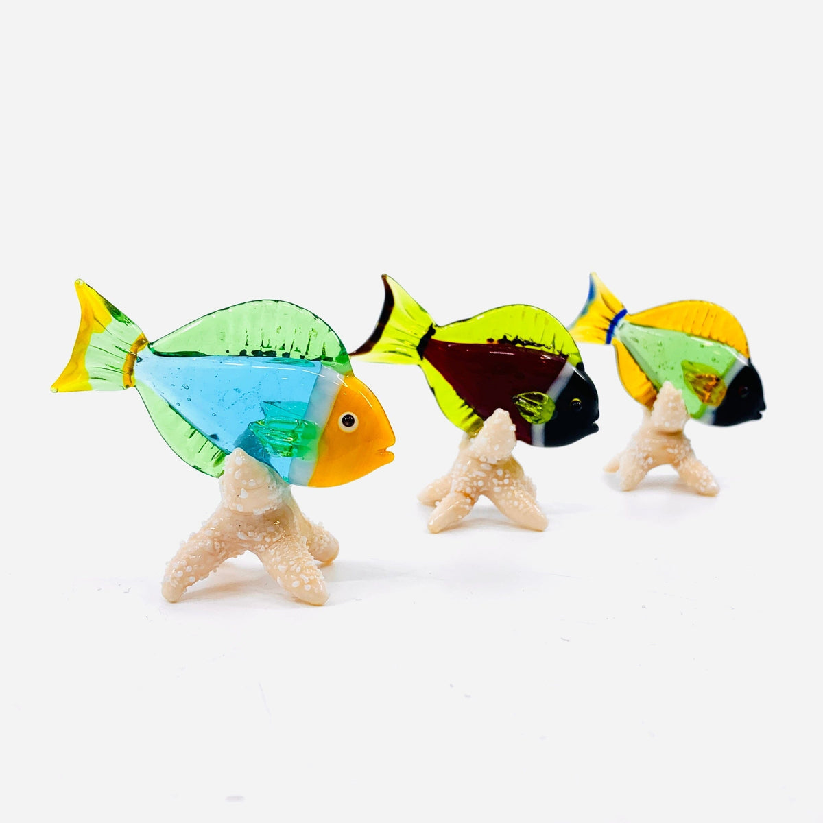 Tropical Fish on Sea Stars, Red Decor Beachcombers 