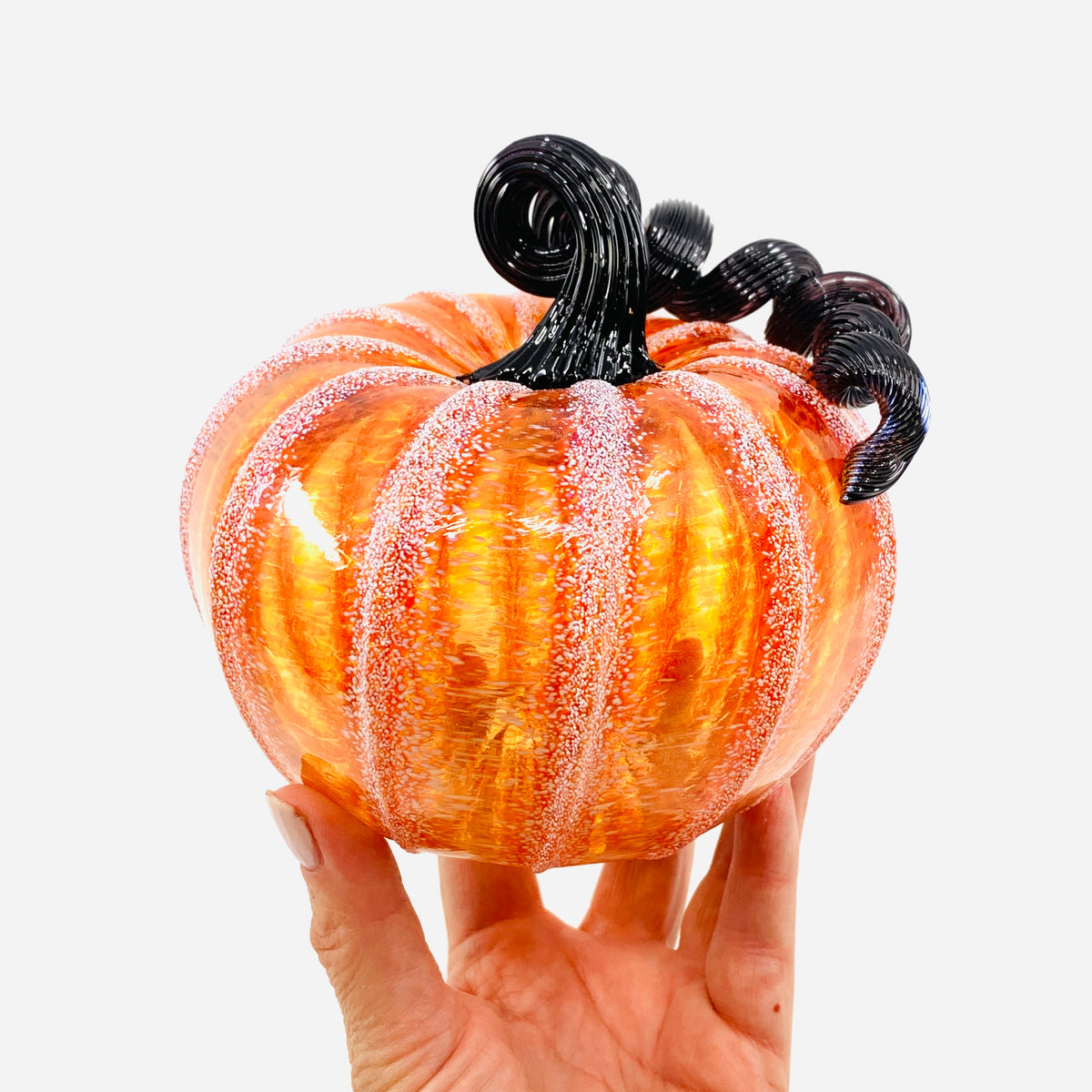 Daily Pumpkin 278 Fall Squat