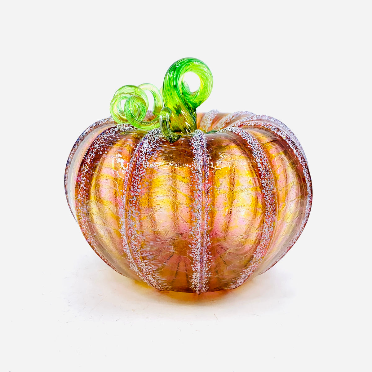 Daily Pumpkin 290 Fall Squat