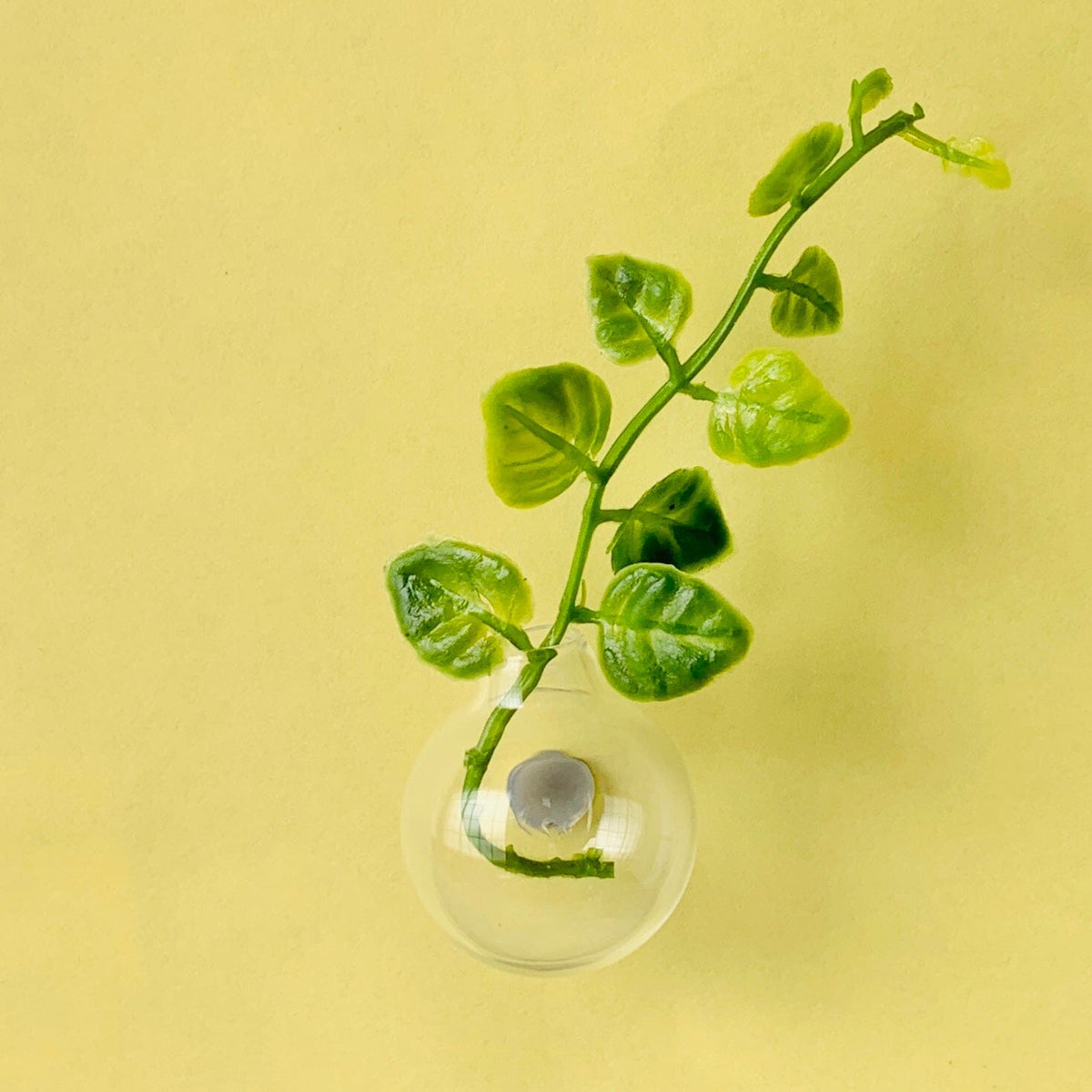 Mini Magnet Vase Miniature - 