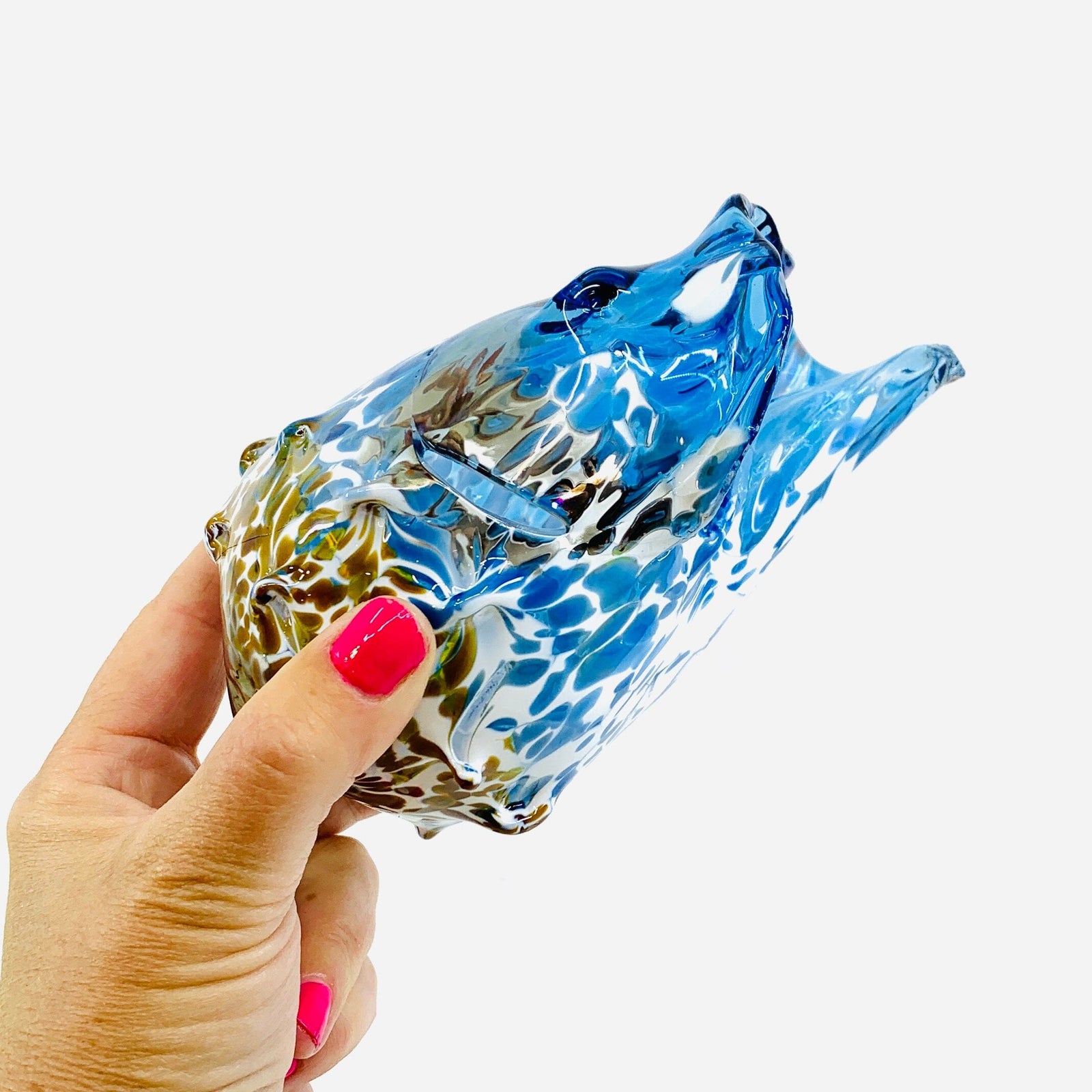 “Luke's Favorite Shell" 6 Gabby Luke Adams Glass Blowing Studio 