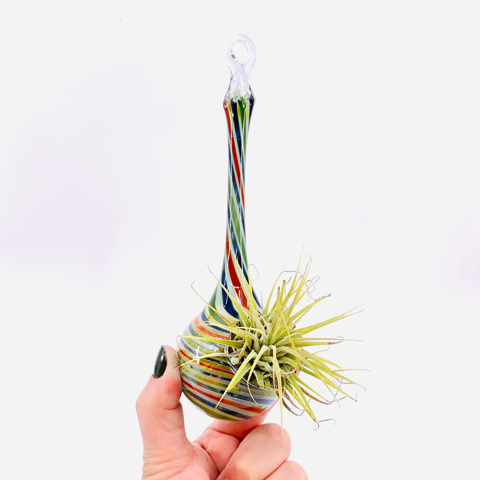 Air Plant Hanging Drop Vase 32 Decor Probstein Studios 