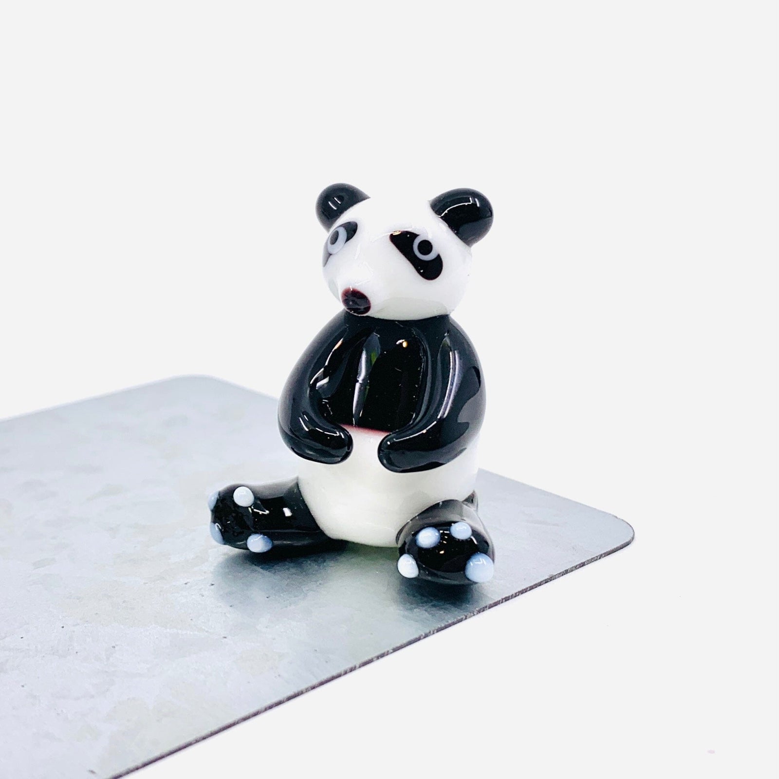 Glass Magnet, Panda Bear Dynasty 