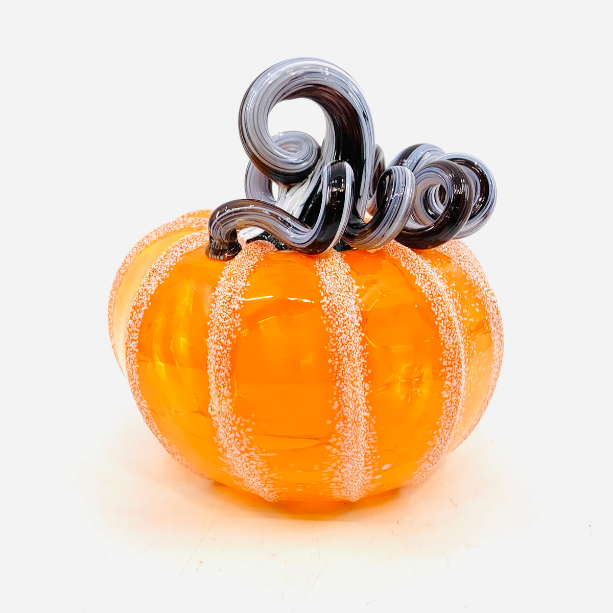 Daily Pumpkin 3201 Fall Squat