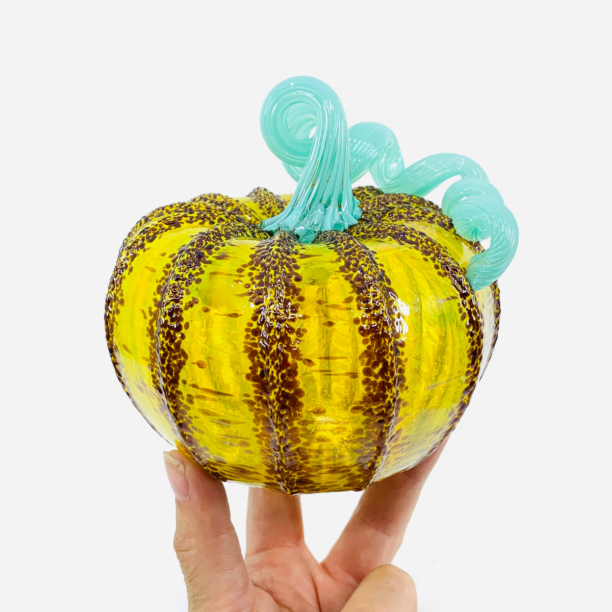 Daily Pumpkin 3178 Fall Squat