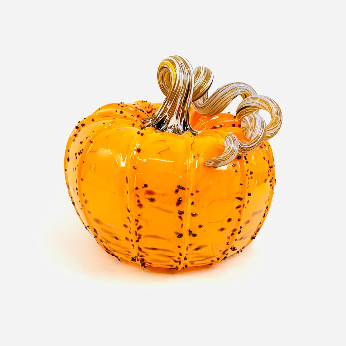 Daily Pumpkin 2736 Squat
