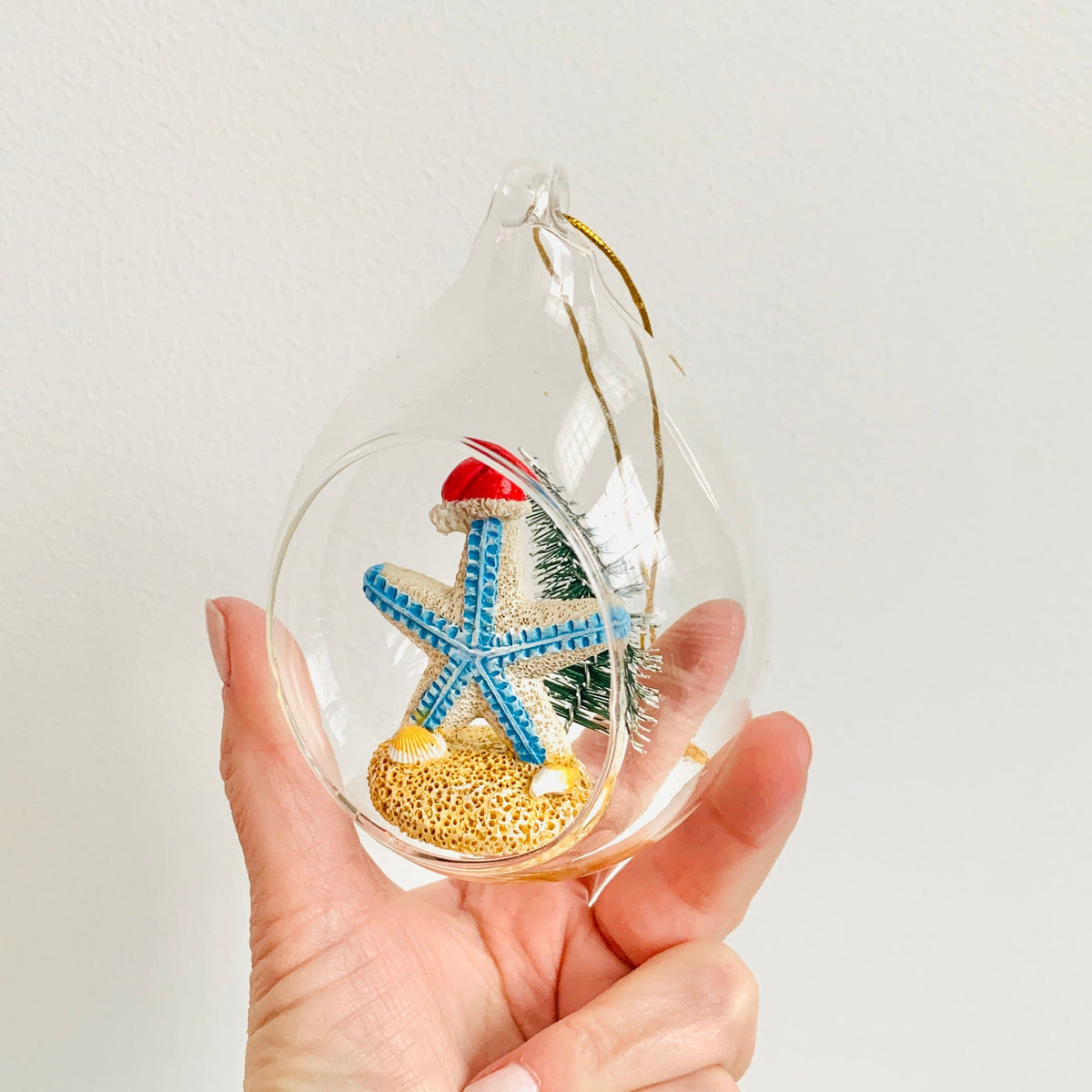 Santa Sea Star Globe Ornament Decor Beachcombers 