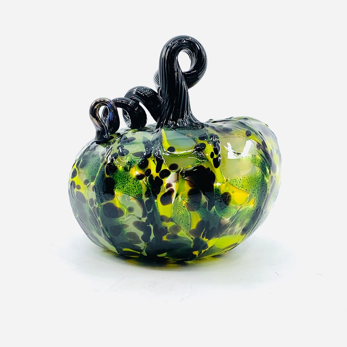 Daily Pumpkin 3620 Oops Squat