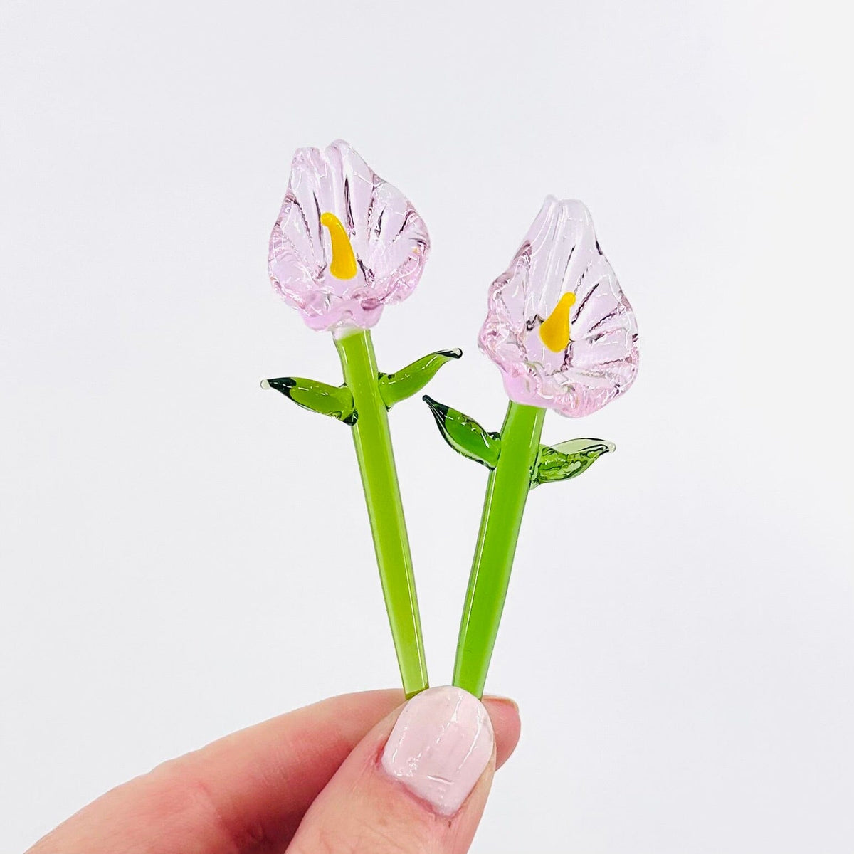 Tiny Calla Lilies - Build Your Own Bouquet Alex Blush 