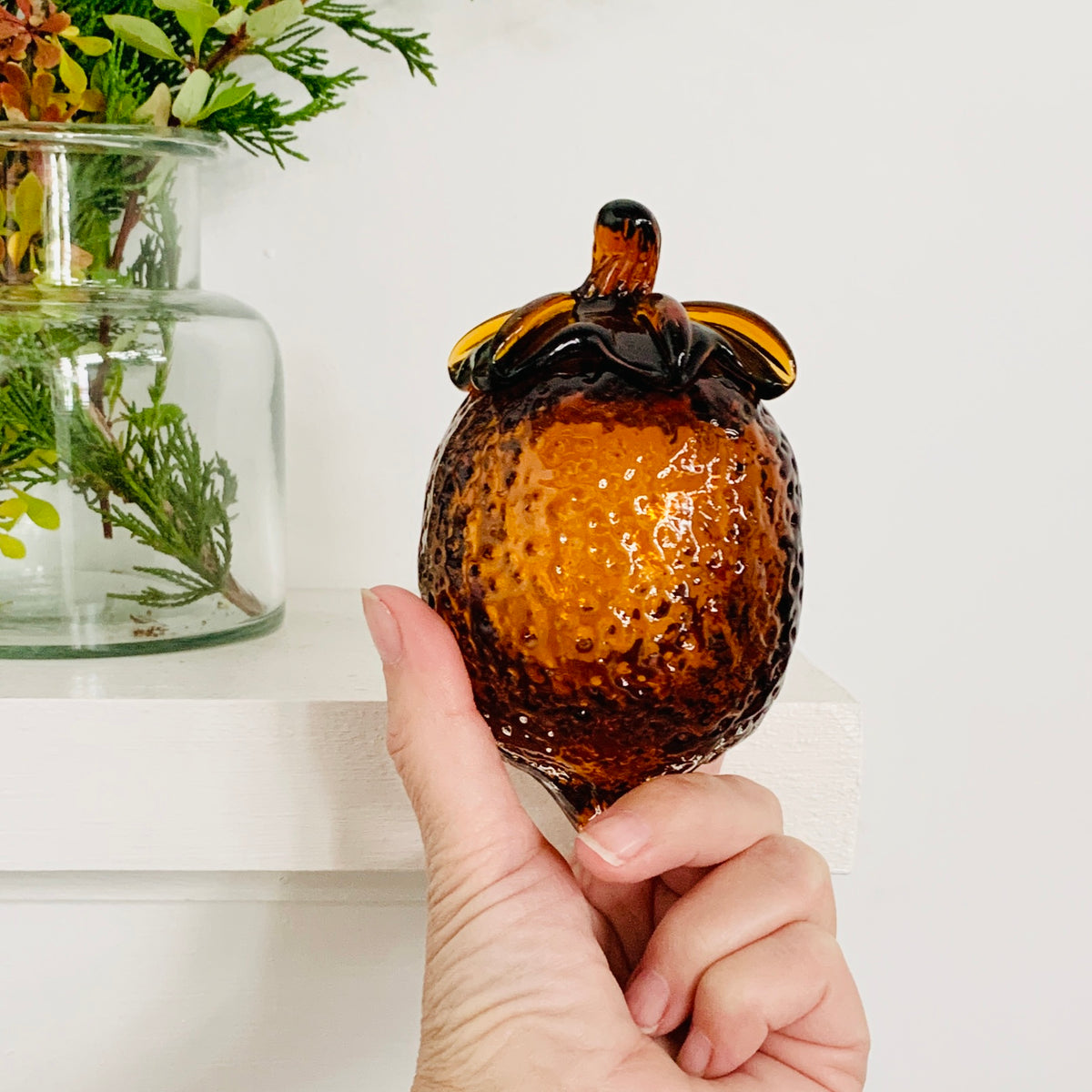 Glass Acorn, Coffee