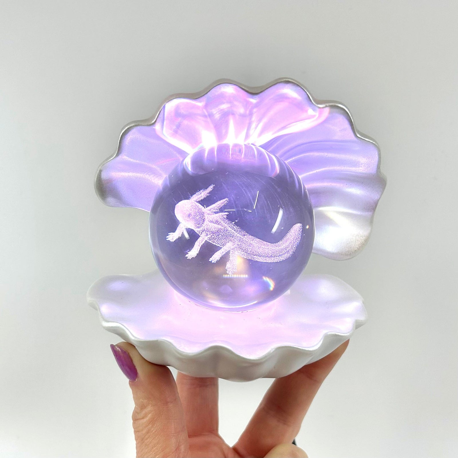 Light Up Etched Glass Sea Shell décor - Axolotl 29TONIGHT 