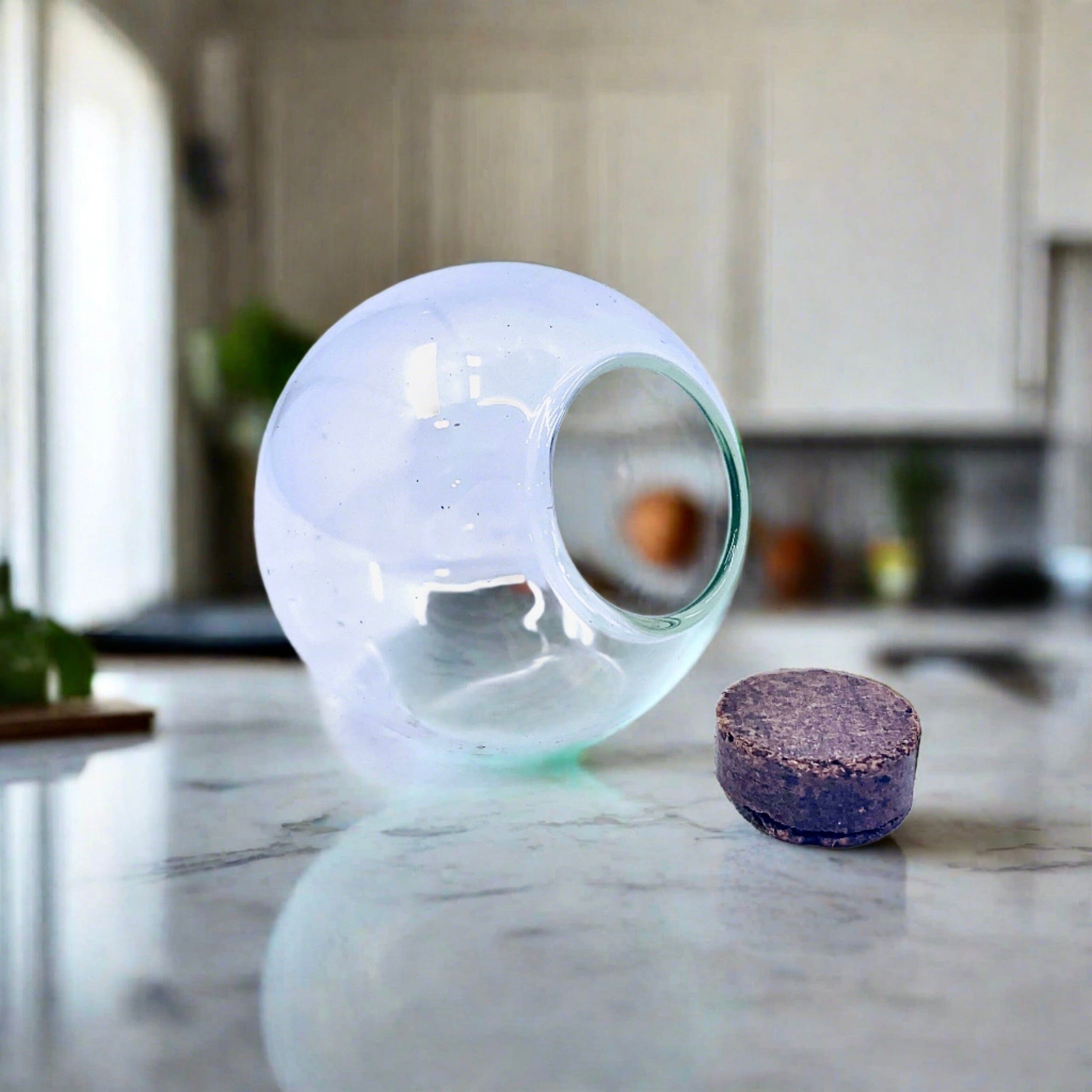 Opknoping Glazen Globes Terrarium Vetplanten Orbs 4 Stks Glazen Planter Opknoping Glazen Globes Terrarium Vetplanten Orbs 4 Stks Glazen Planter