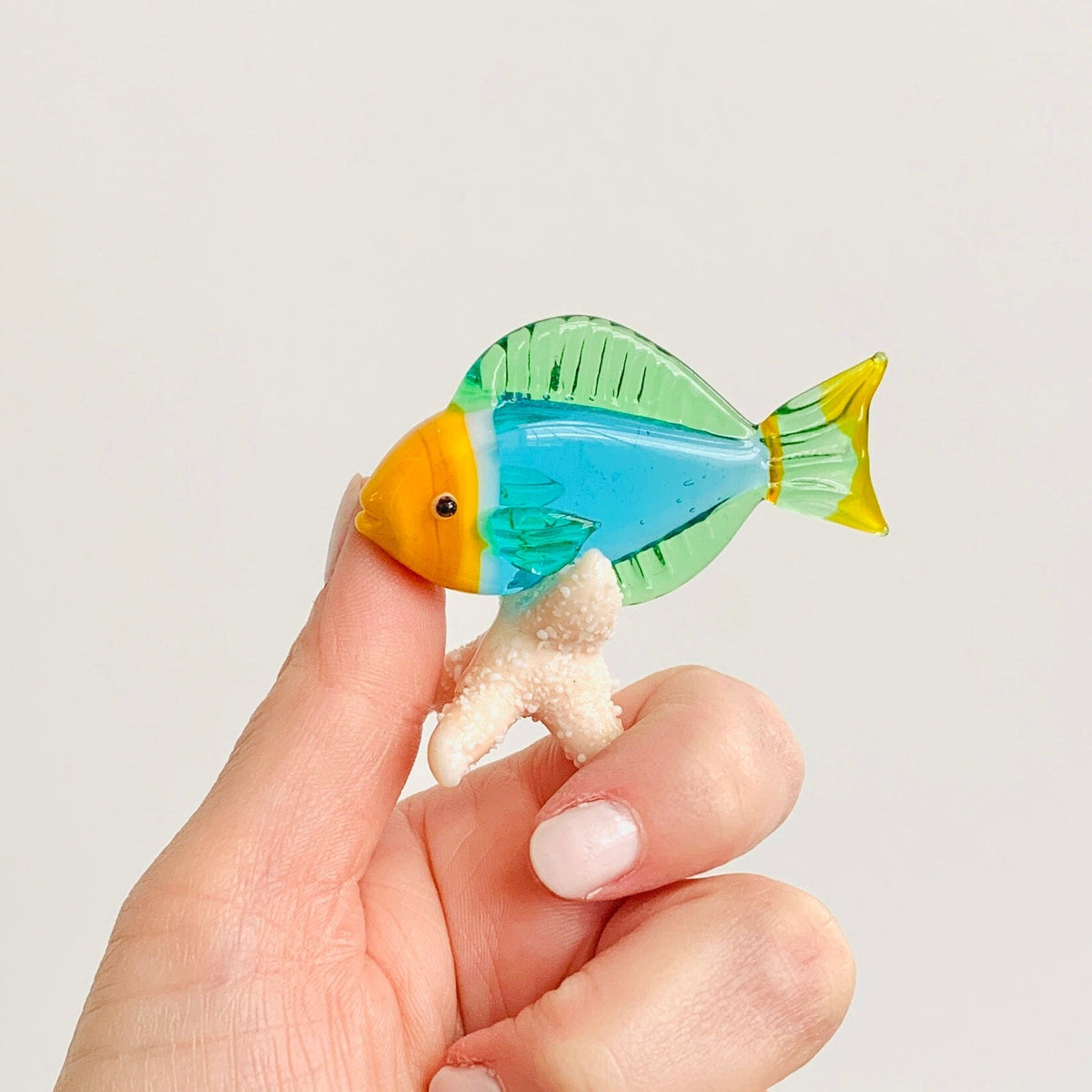 Tropical Fish on Sea Stars, Aqua Decor Beachcombers 