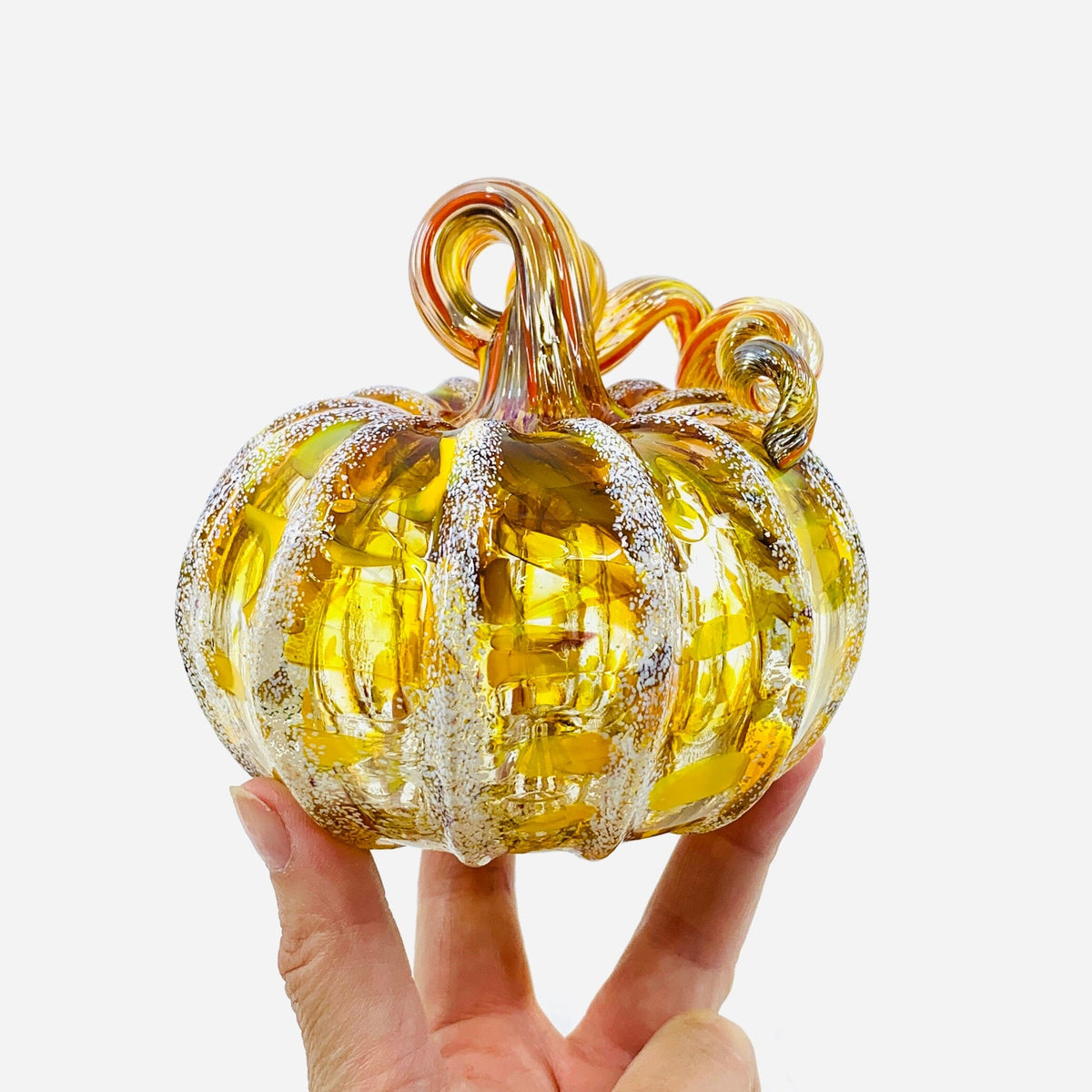 Daily Pumpkin 3309 Fall Squat Gabby Luke Adams Glass Blowing Studio 