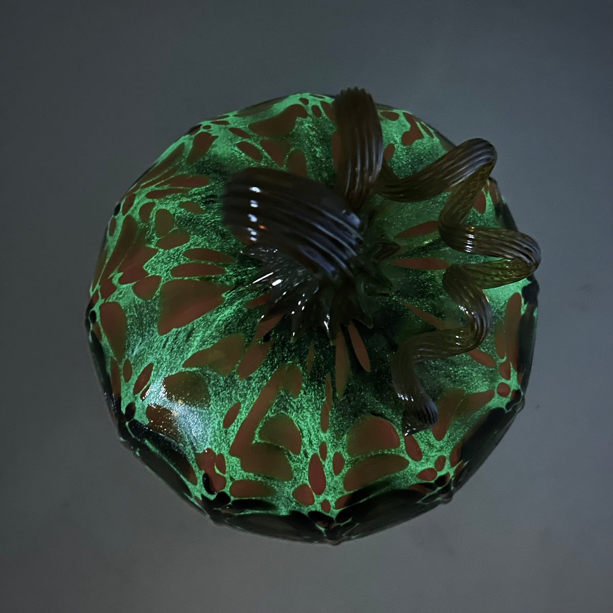 Daily Glow Pumpkin 871 Large
