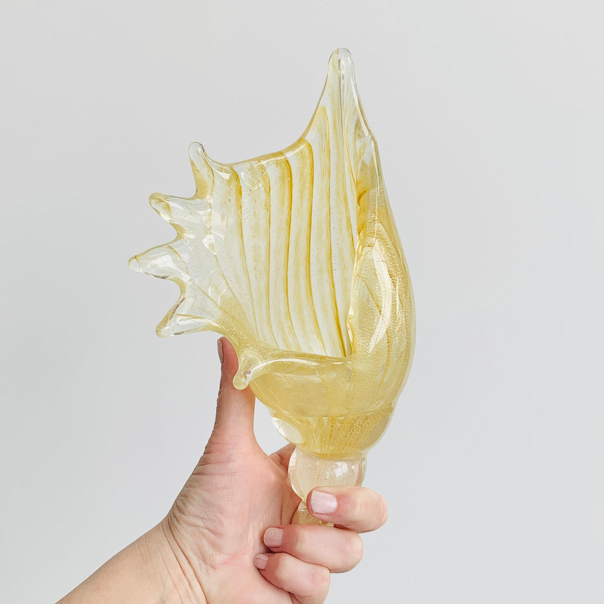 Natural Glass Conch Shell Decor Beachcombers 