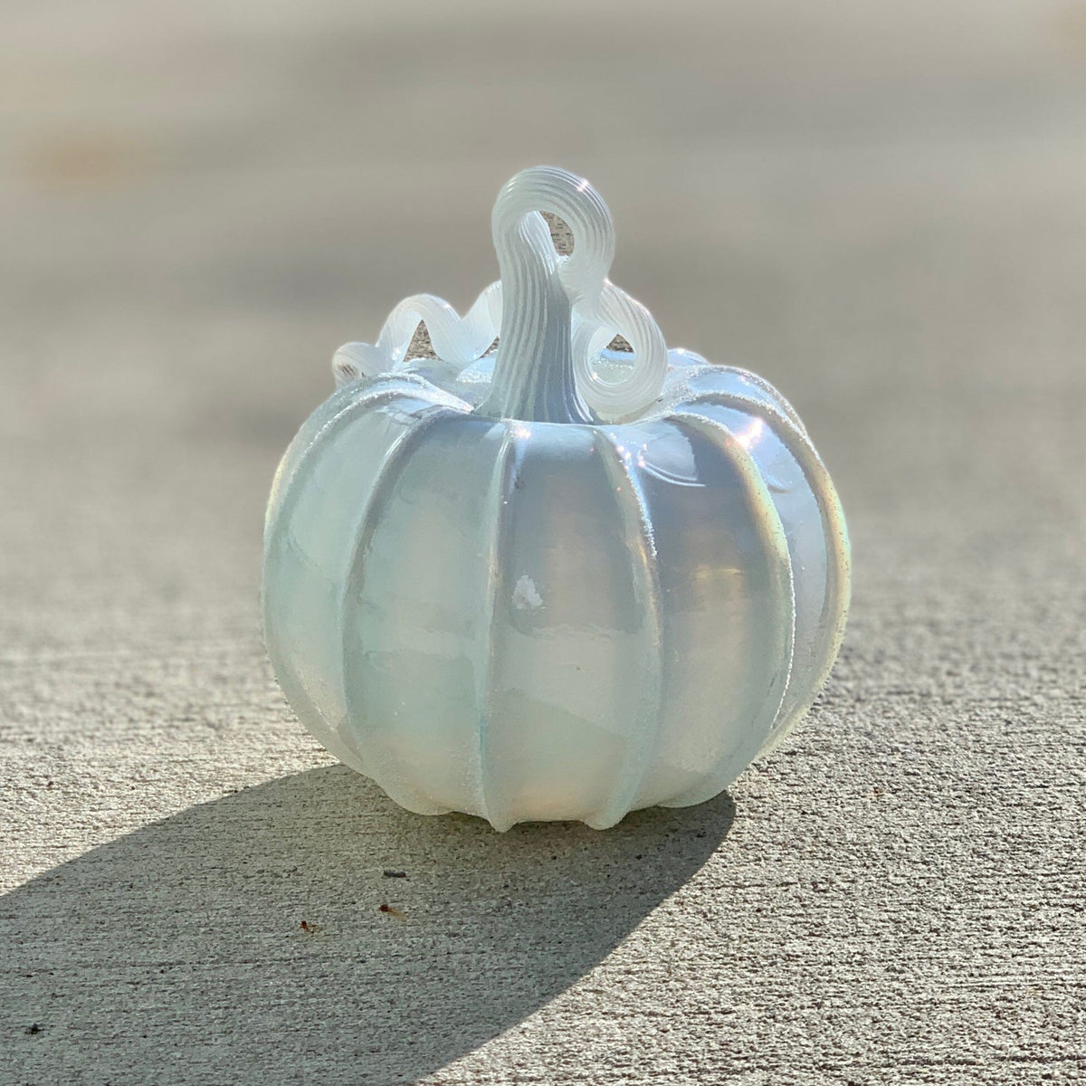 Daily Pumpkin 512 “The Illusive White Pumpkin” Daily Pumpkin Luke Adams Glass Blowing Studio 