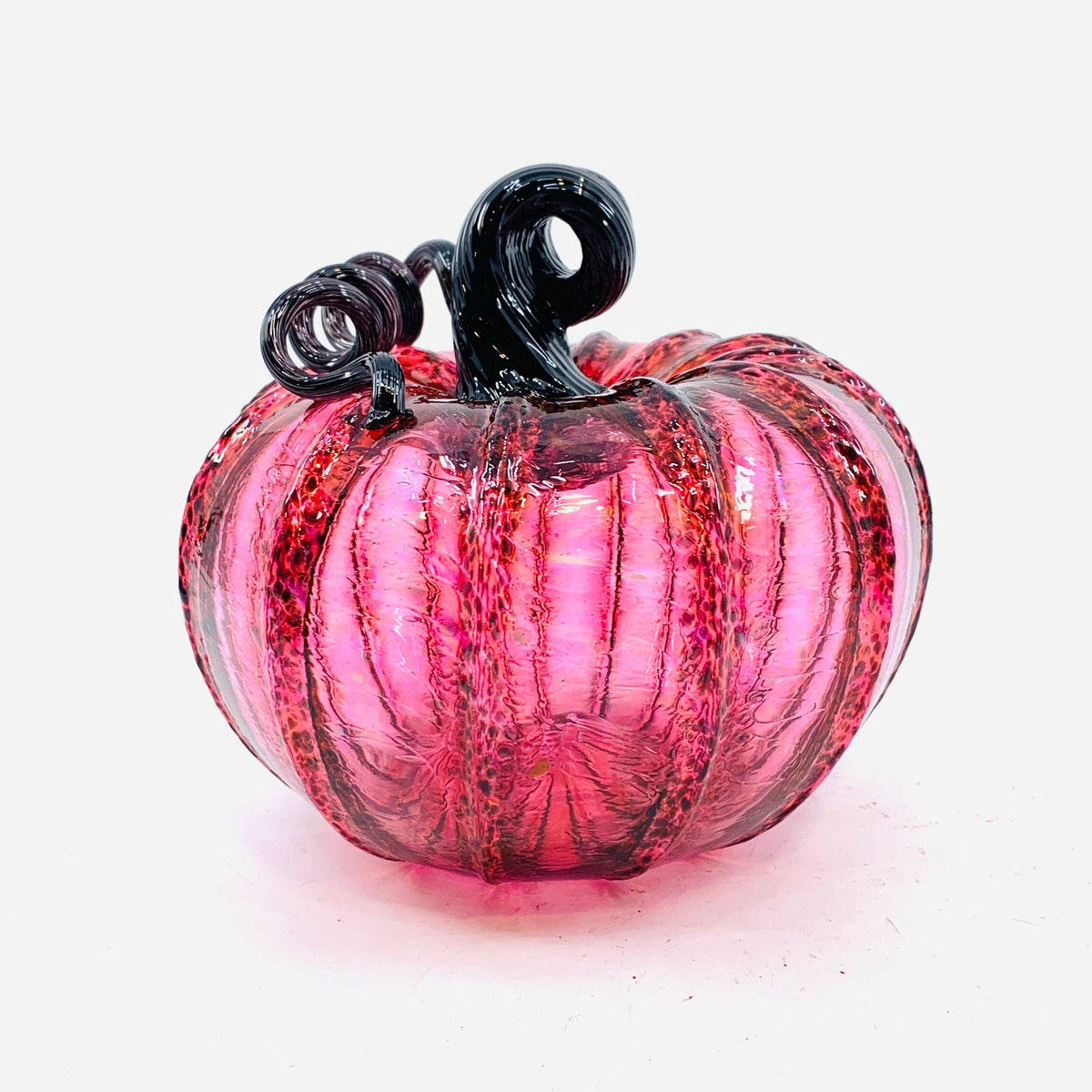 Daily Pumpkin 3860 Squat