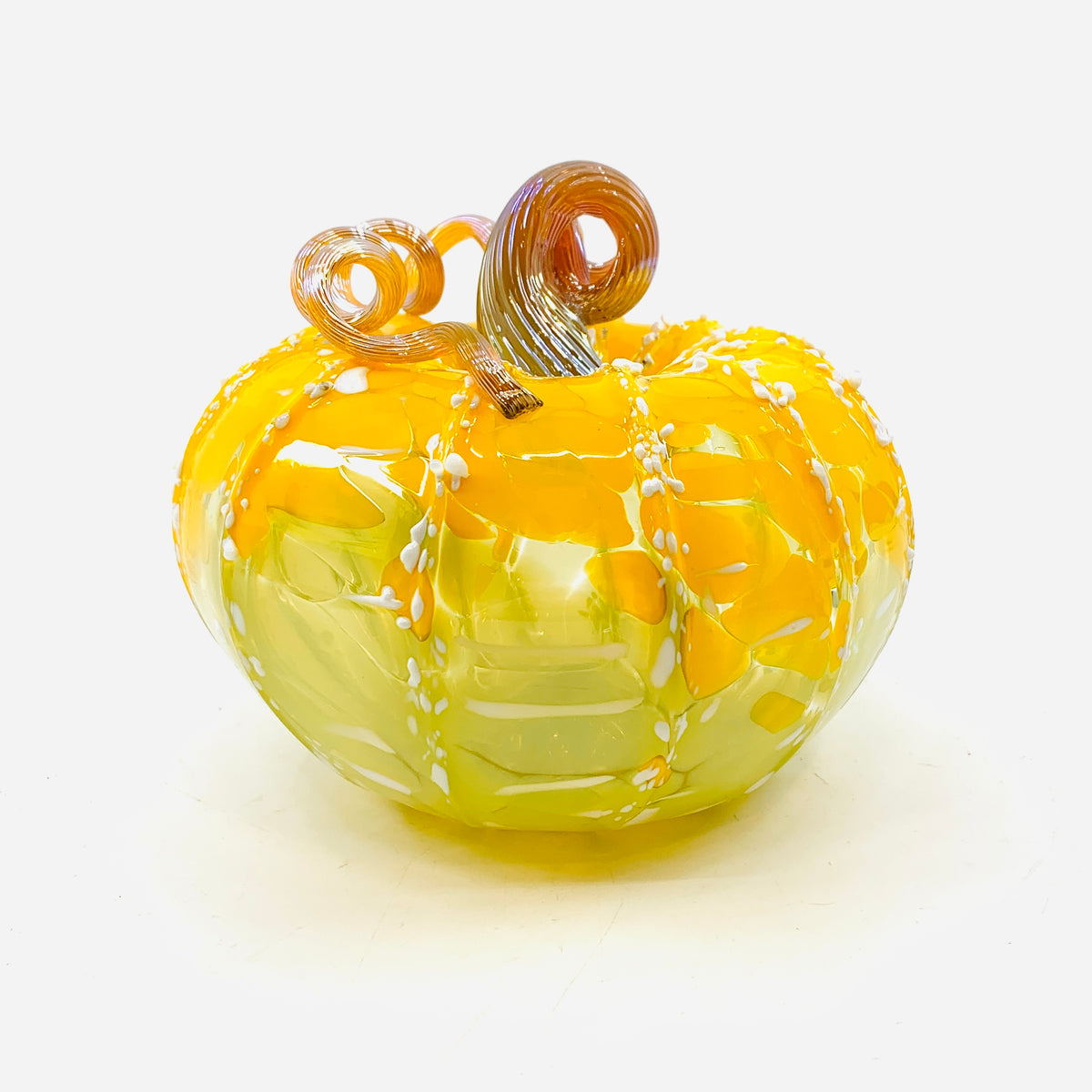 Daily Pumpkin 3743 Fall Squat
