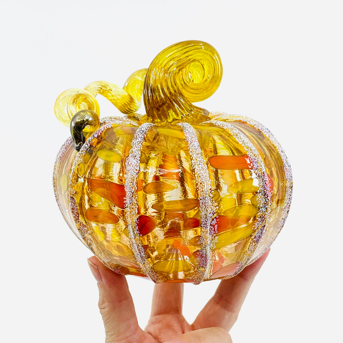 Daily Pumpkin 3734 Fall Squat